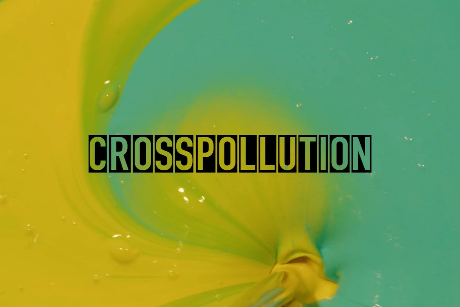 CROSSPOLLUTION 2: #CP2OUR