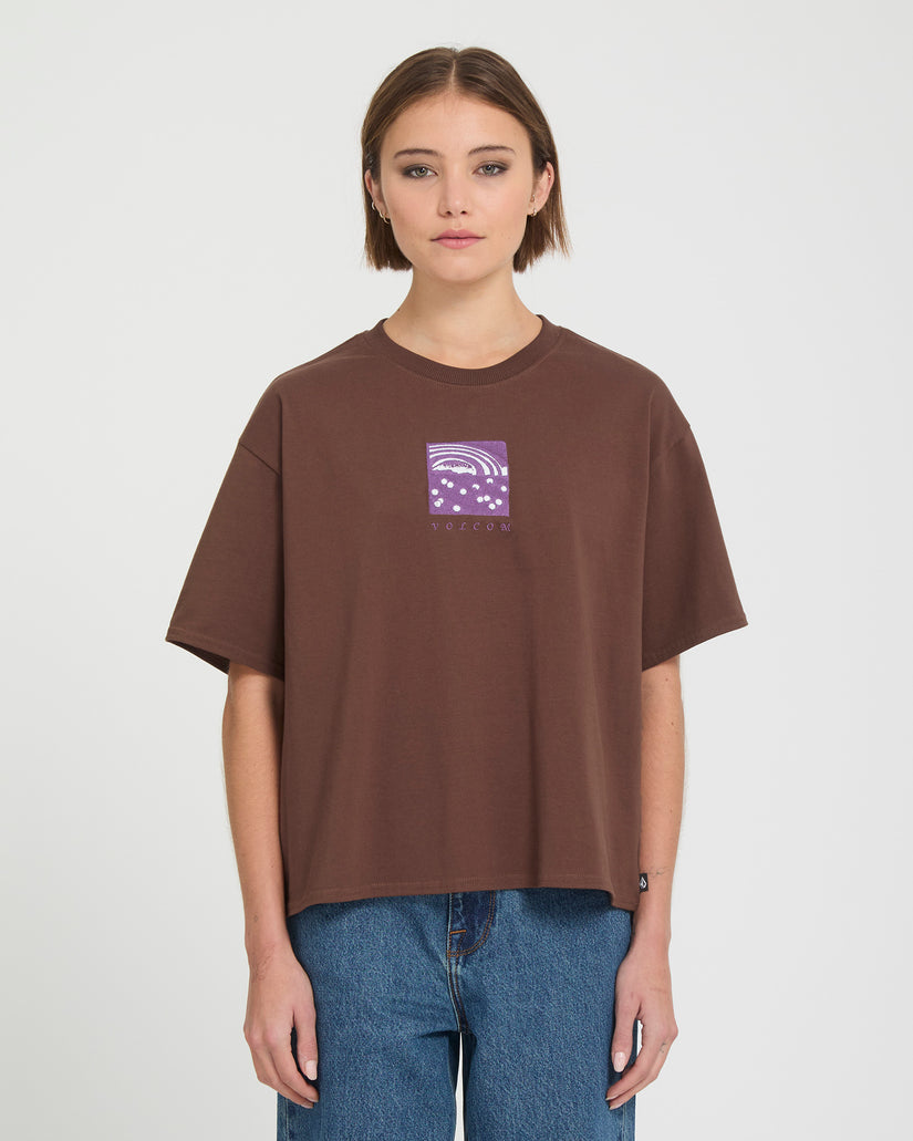 Carrau I T-Shirt - Tobacco Brown