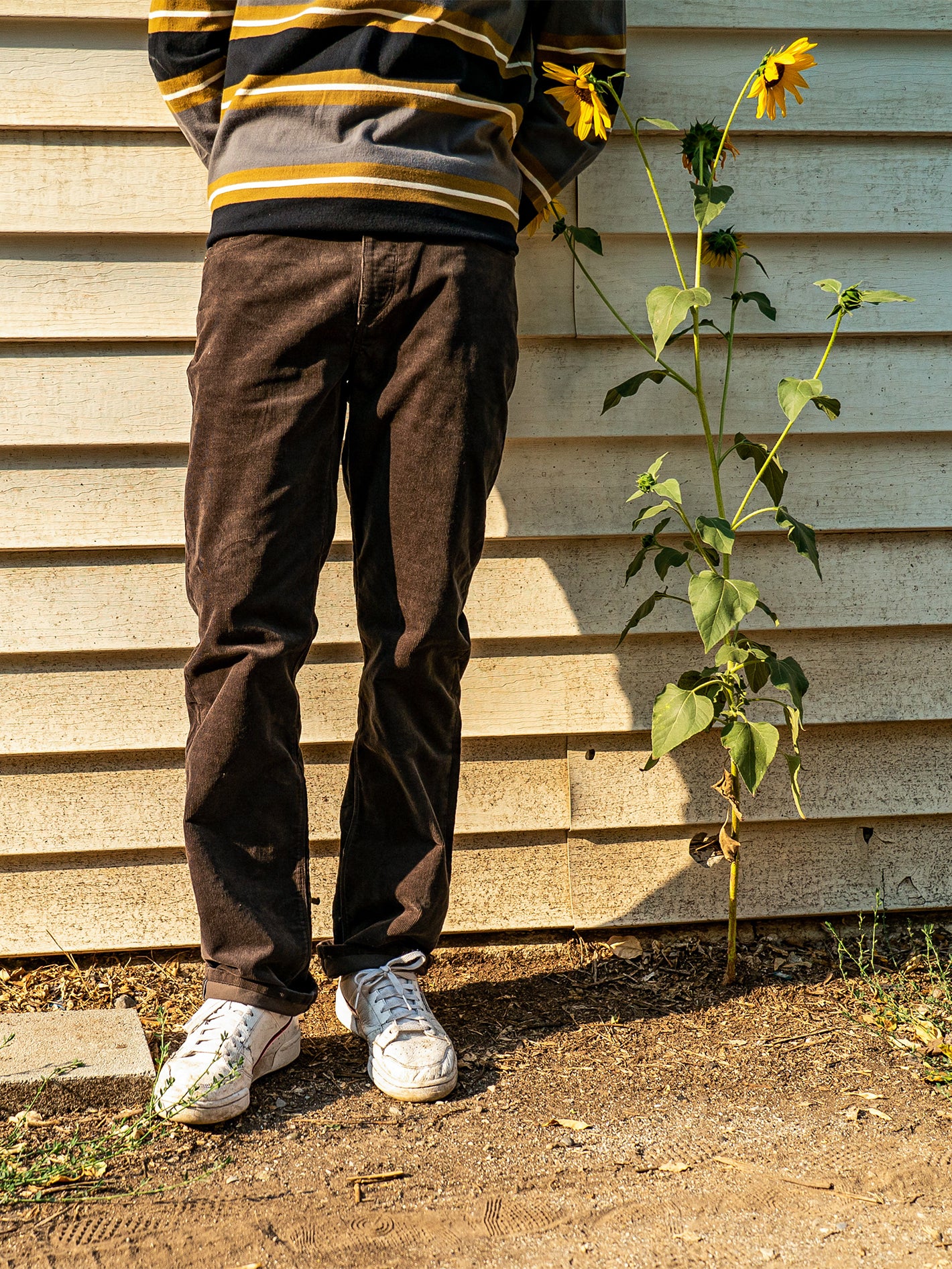 Solver 5 Pocket Corduroy Trousers - WREN