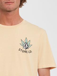WAKENBAKE PW SS (A5212205_CBS) [2]