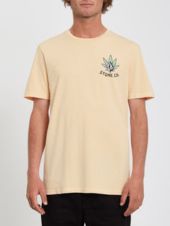 WAKENBAKE PW SS (A5212205_CBS) [B]