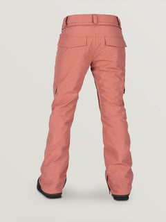 ASTON GORE-TEX® PANT (H1352002_MVE) [B]