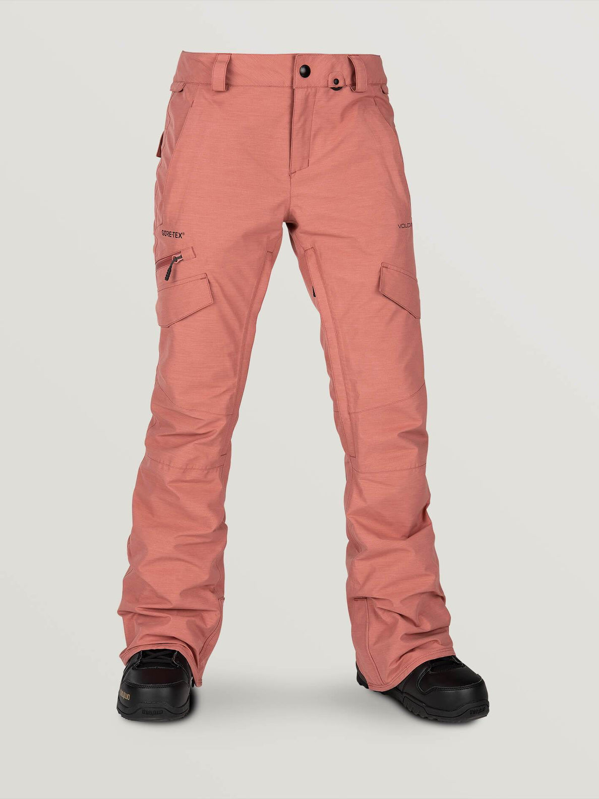 ASTON GORE-TEX® PANT (H1352002_MVE) [F]